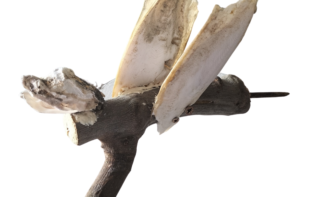 Muzikale monsters uitgelicht door maurice kummer